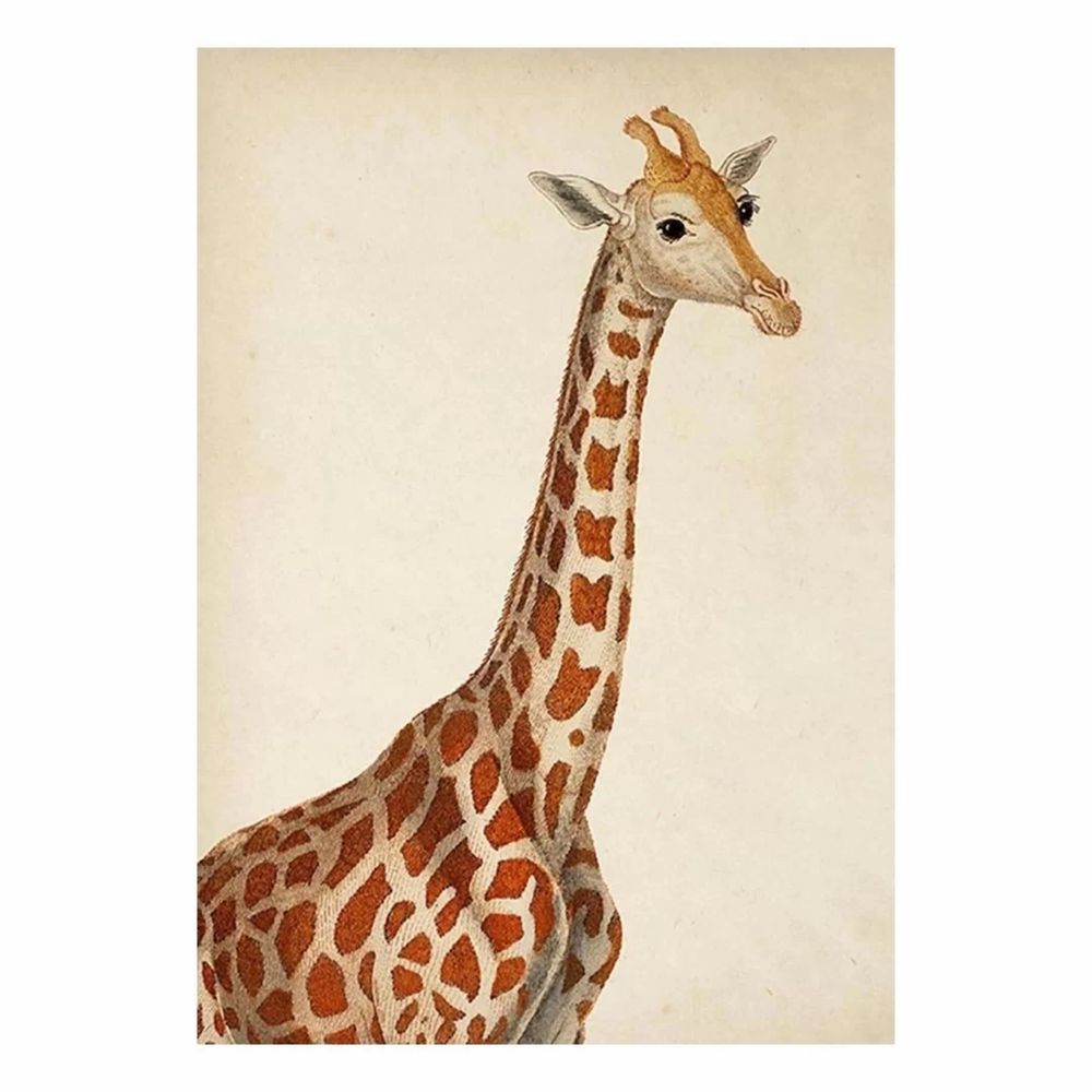 Plakat Antique Giraffe/ 42×60 cm