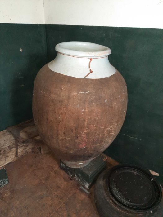 Conjunto para Vinificação
