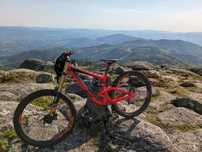 Scott Gambler 710