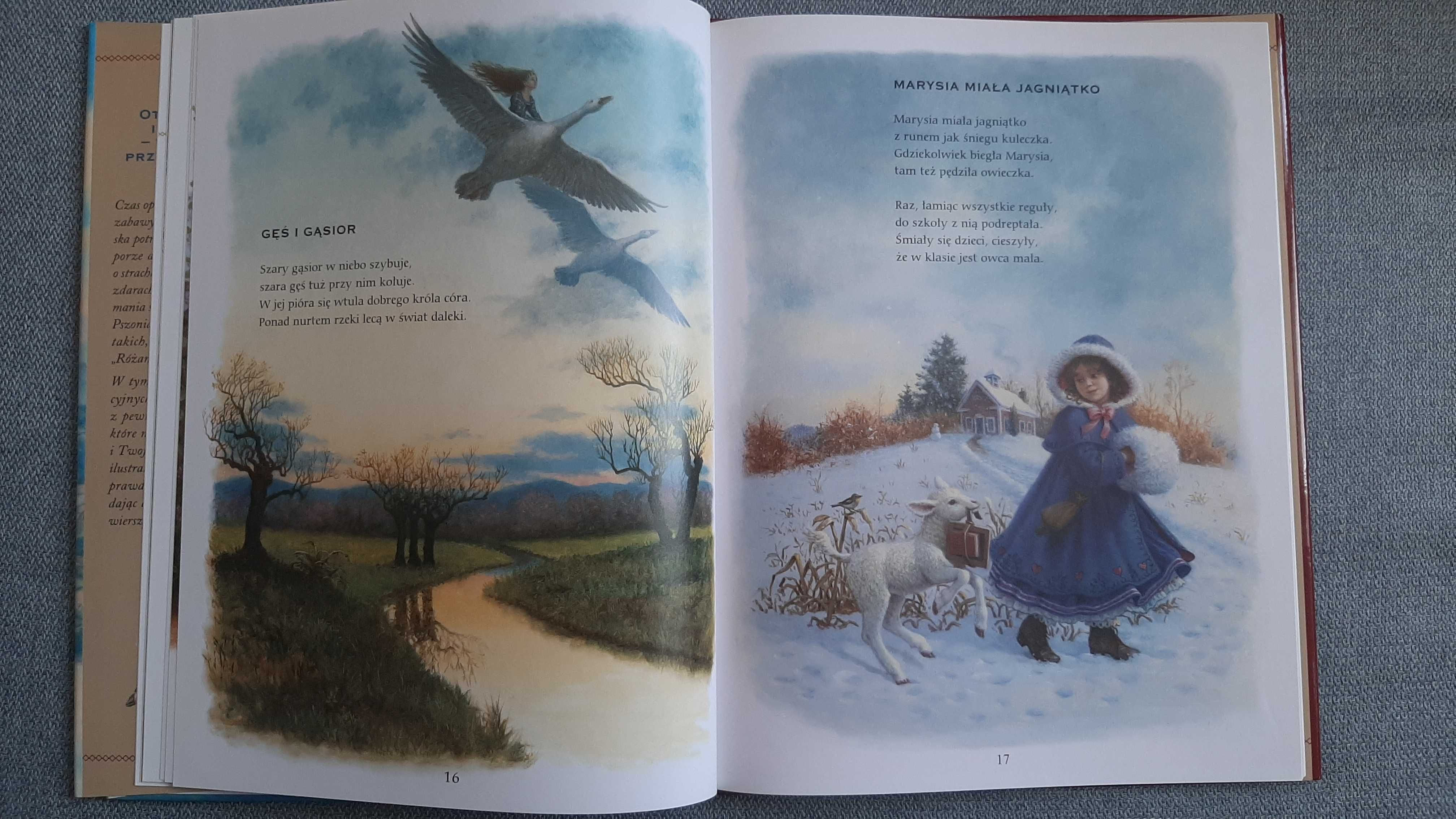 Babcia Gąska i przyjaciele bajki Babci Gąski Ruth Sanderson