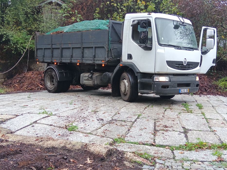 Renault midlum tribasculante