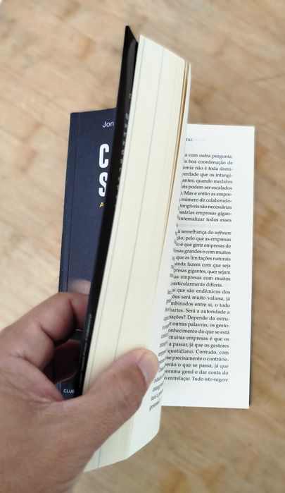 Capitalismo Sem Capital