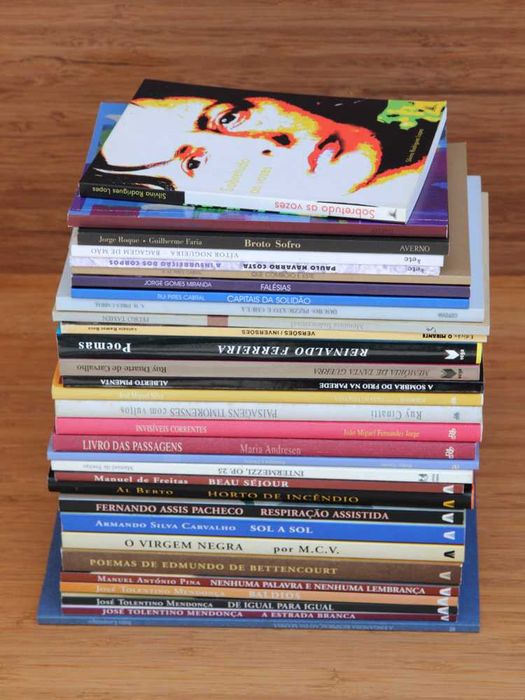 Lote de livros - Poesia portuguesa contemporânea