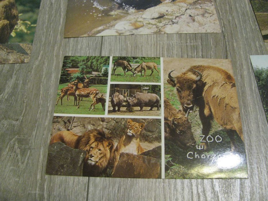 pocztówki z PRL zwierzęta