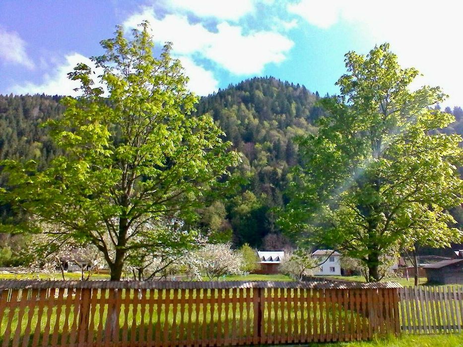 Здам подобово два дерев'яні будинки в Карпатах: Маєток  «LINDEN GROVE»