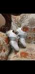 Adidas golf  tour 360  3.0 rozm. 38 2/3 retro vintage old money