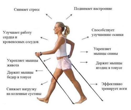 Палки для скандинавской ходьбы, палки трекинговые, трость для пожылых