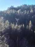Terreno florestal em S. Julião