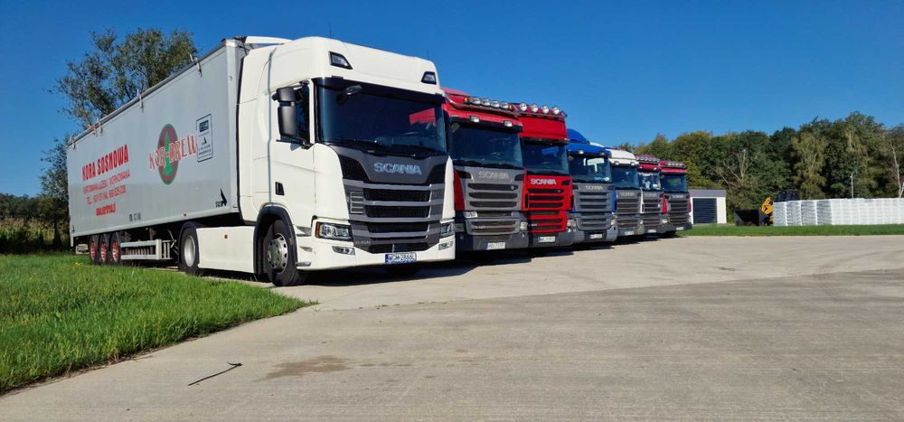 Kor-Drew Kora sosnowa luzem z dostawą na terenie całego kraju min.95mp