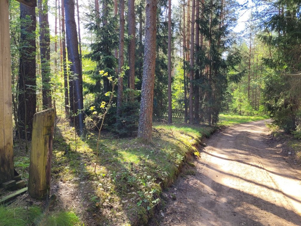 Działka we wsi Płaska nad jez. Paniewo