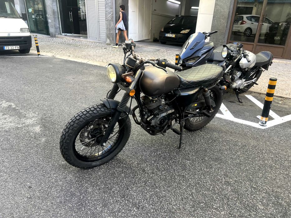 Mutt black mustiff gold edition