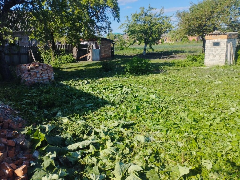 Продаж будинку  з великою садибою