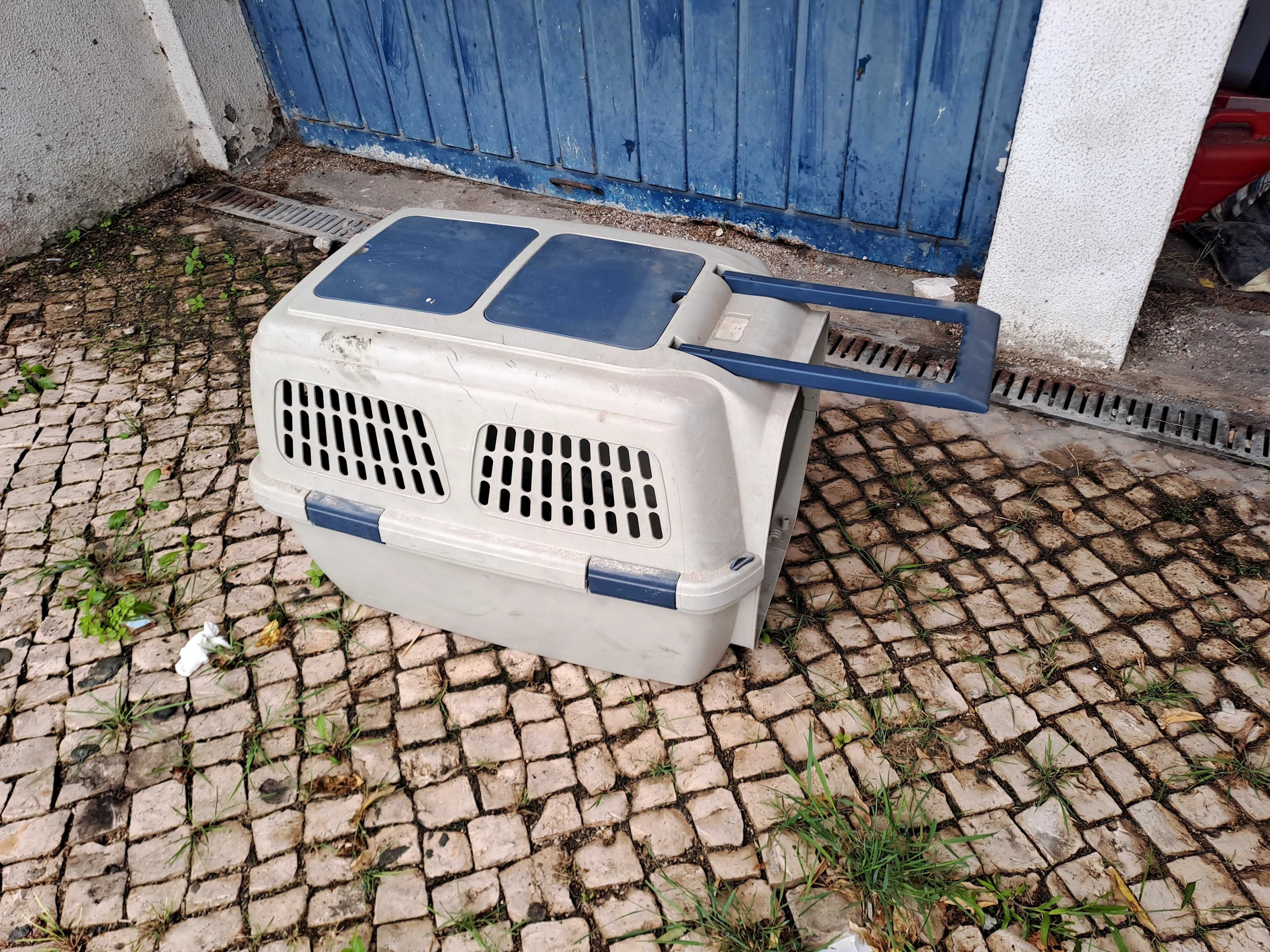 Ttansportadora homologada para cão grande