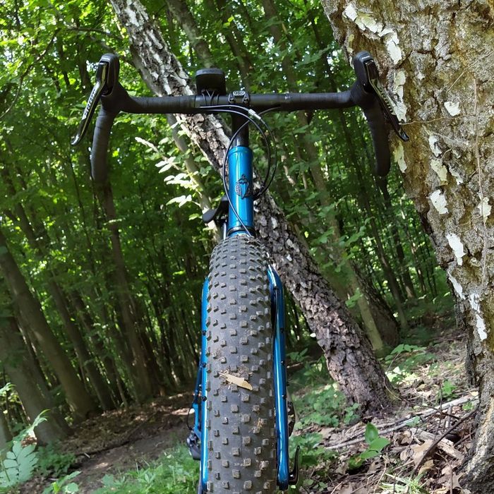 29x3.0 Salsa Fargo Custom гравийный монстеркросс гравел гравийник