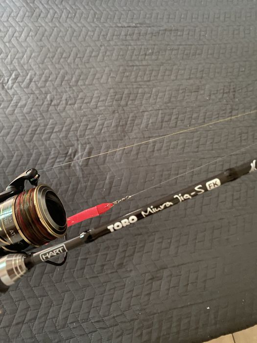 Cana de pesca e carreto