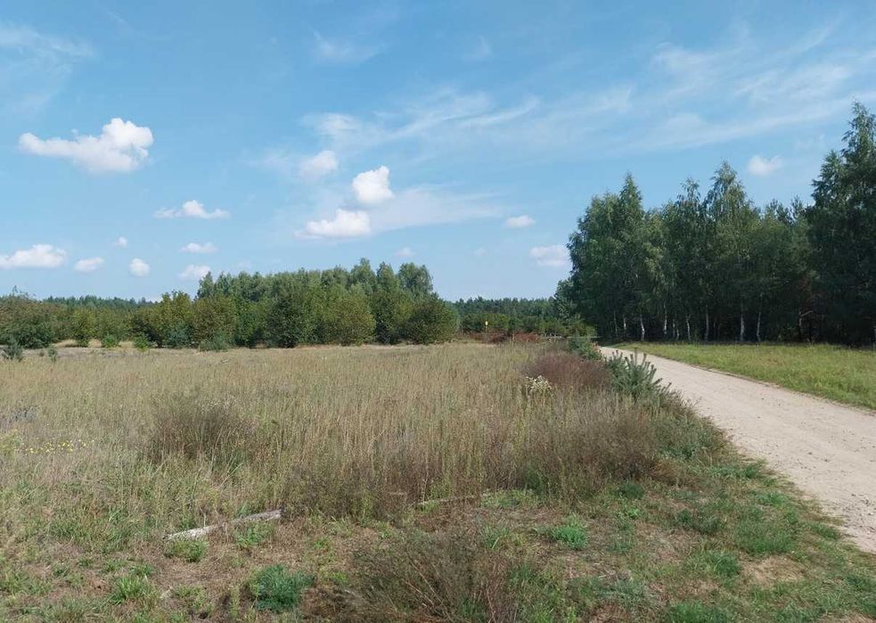 Działka budowlana 1250 m2 nad jeziorem na Pojezierzu Dobrzyńskim