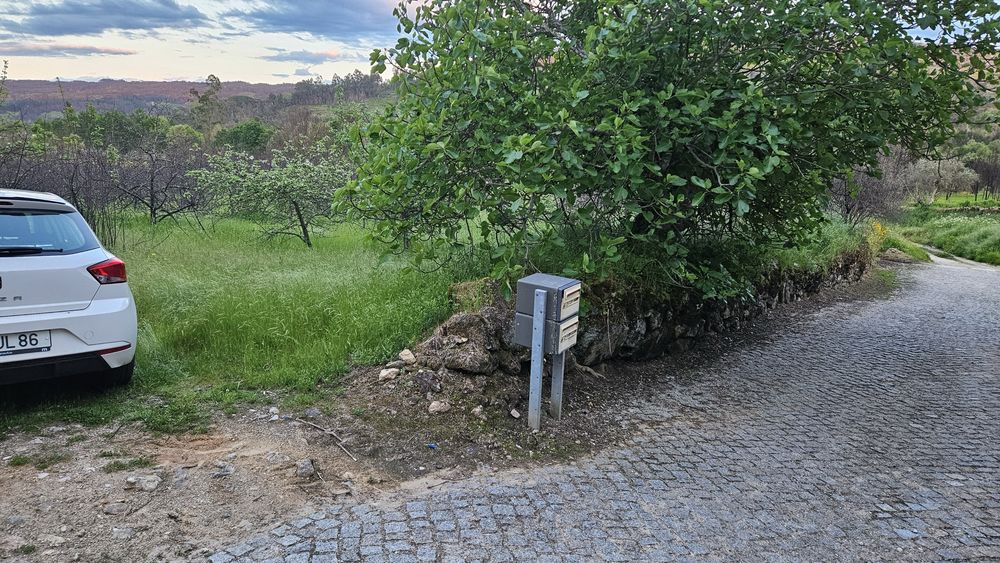 Terreno Rustico-Urbanizavel Penalva do Castelo 20000m2