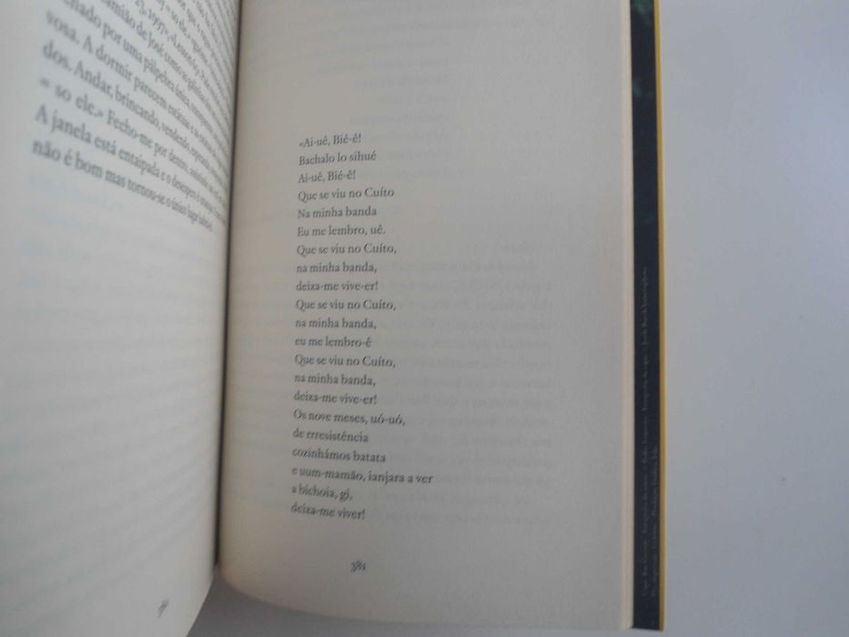 Baía dos Tigres por Pedro Rosa Mendes