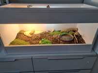 Terrarium dla żółwia 80×40