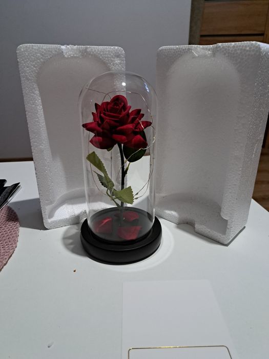 Róża świecącą w kloszu