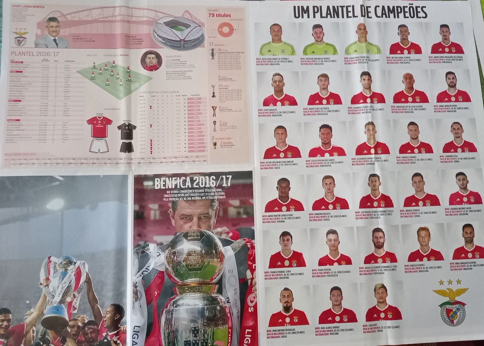 poster Benfica campeão 2016/17