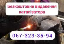 Удаление катализатора Экология Заглушка EGR Бесплатно Гарантия