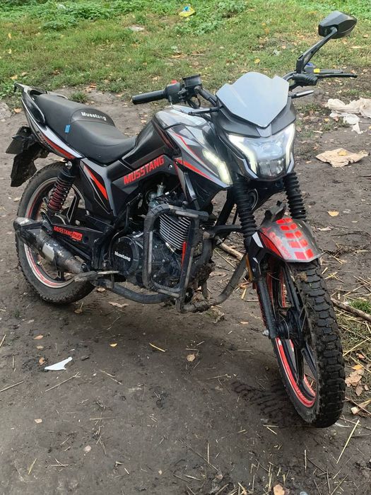 Мустанг фортуна 150