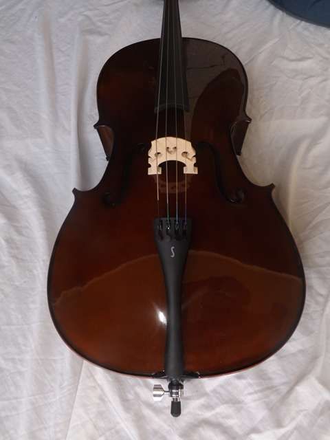 Violoncelo novo madeira Stentor