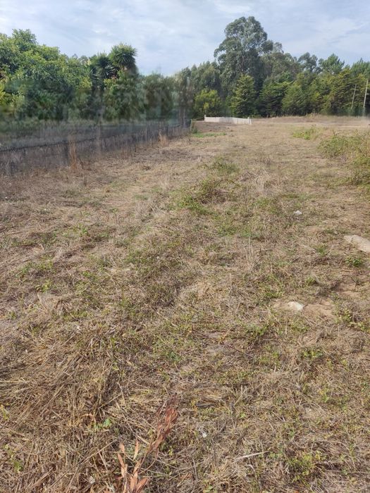 Terreno em Quiaios - negociável