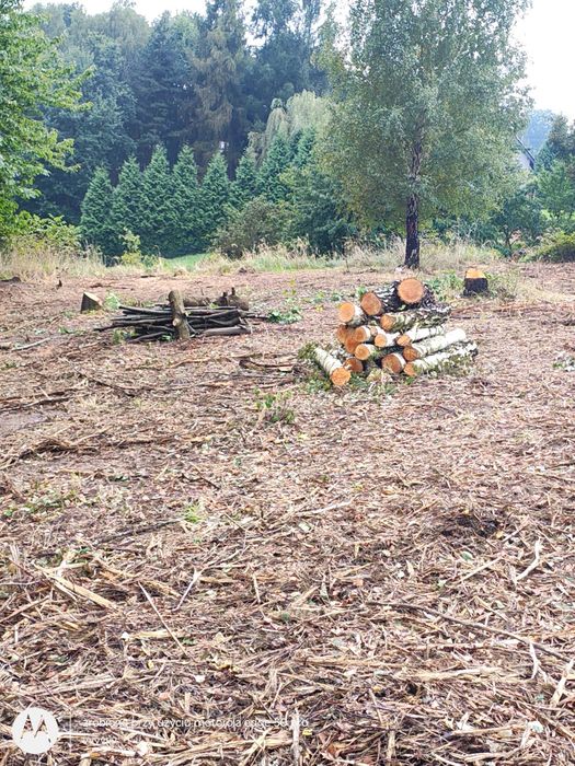 Sprzedam drzewo kominkowe cięte na wymiar zapraszam