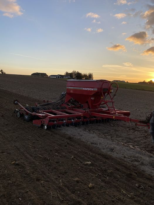 Usługa siew zbóż Horsch pronto 6DC