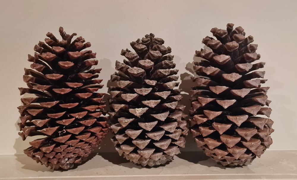 Pinhas p/ acendalha - PROMOÇÃO DE NATAL