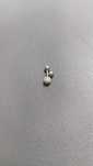 Piercing nas orelhas.