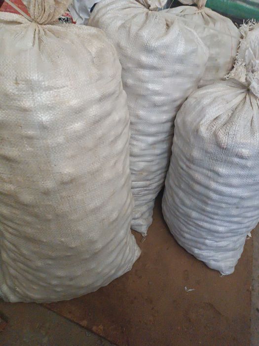 Картопля дрібна. Самовивіз.