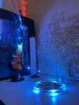 nowa tasma RGB led 10m