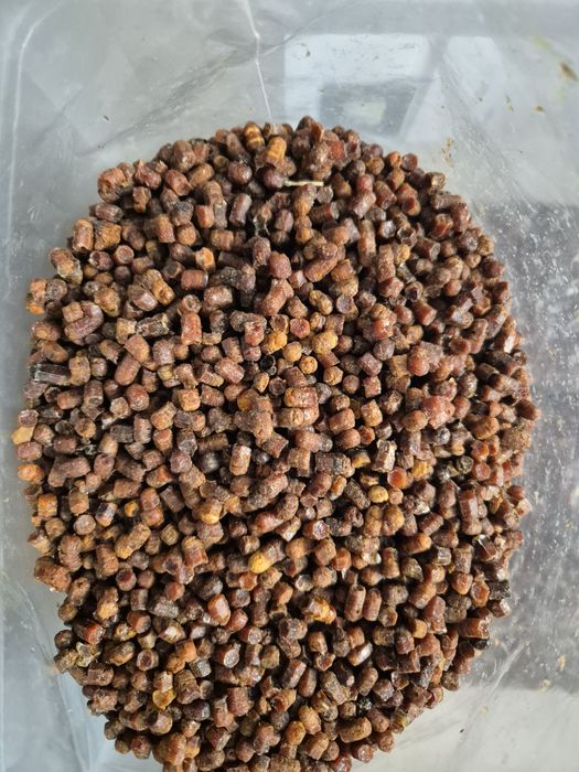 Pierzga Pszczela 1 kg