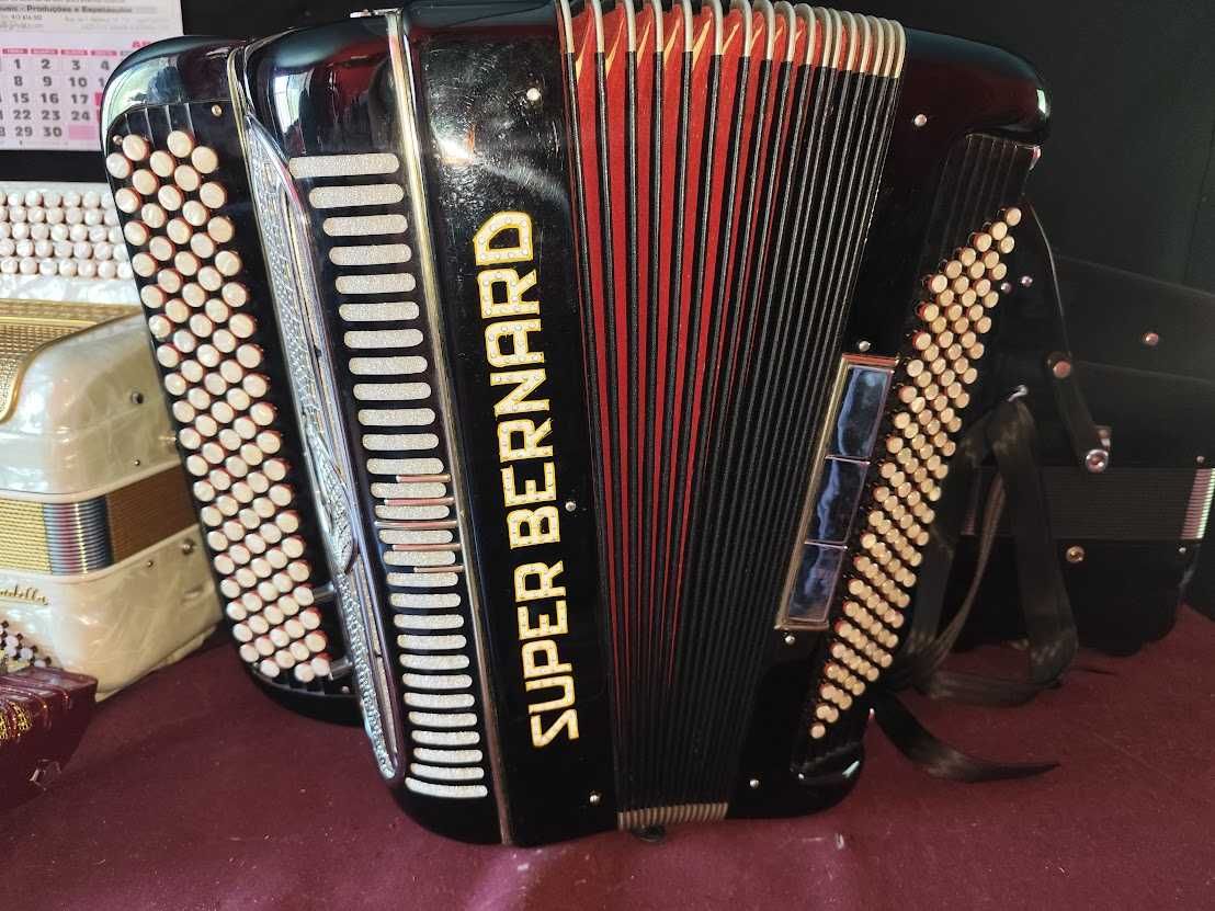 Acordeon com microfones modernos pilha 9v troco por dois