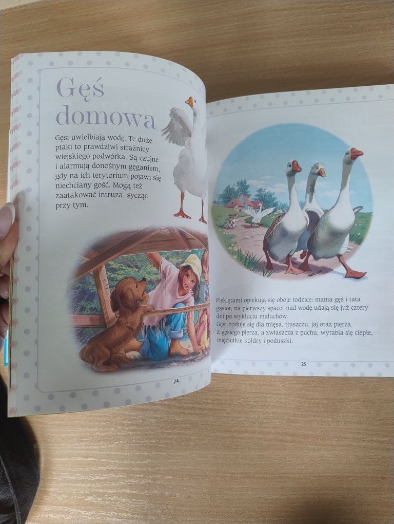 Książka dla dzieci Martynka