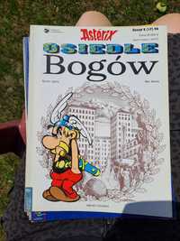 Asterix I Obelix Osiedle Bogów