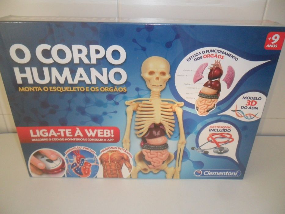 Set do corpo humano