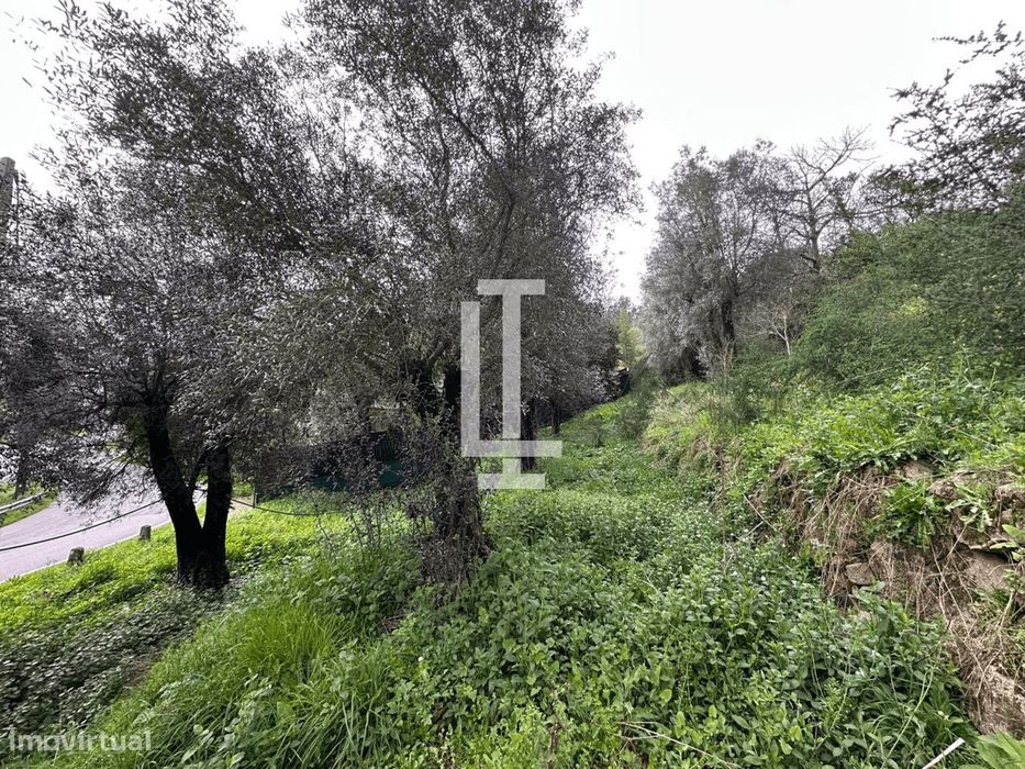 Terreno para construção Facha Ponte de lima