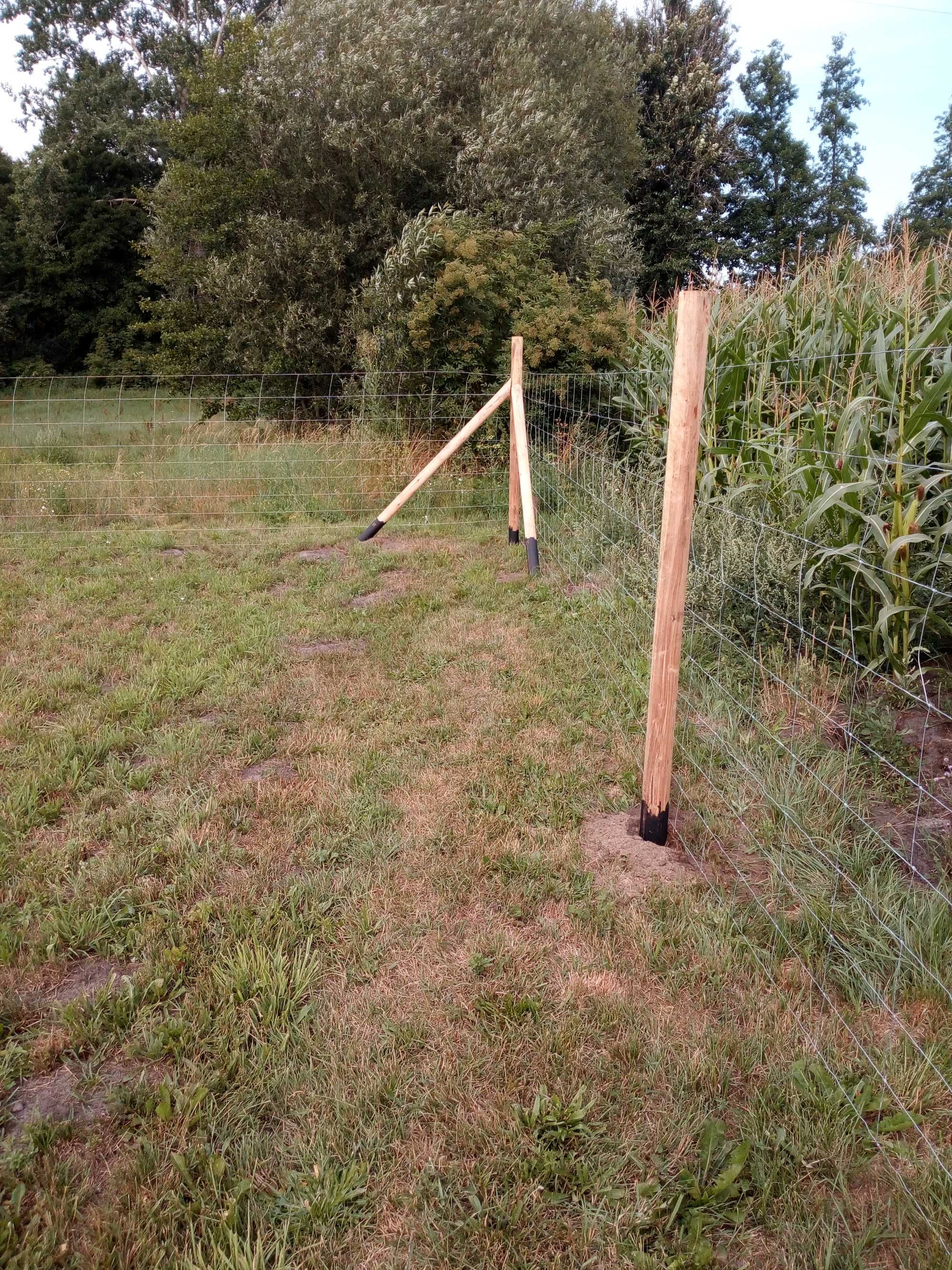 Ogrodzenie Budowlane Tymczasowe Olsztyn siatka leśna już 17 zl. za m