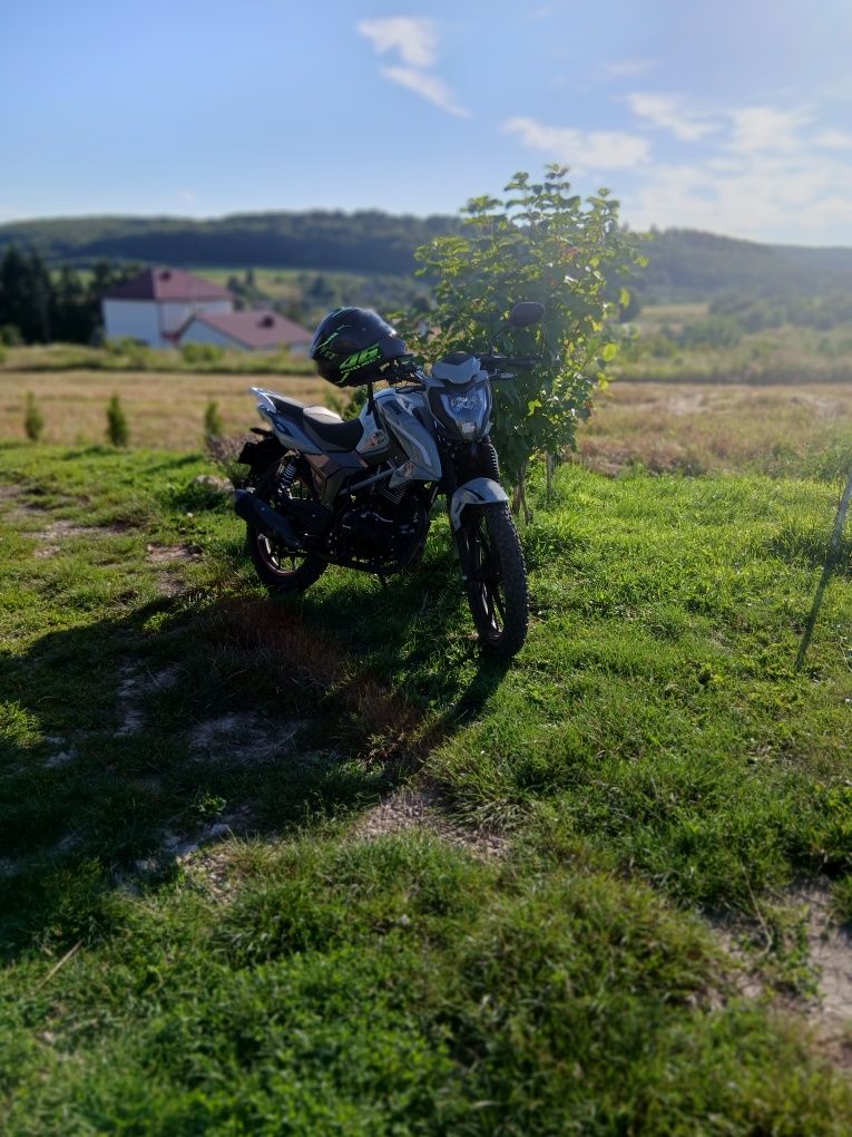 Продам мустанг регіон  200
