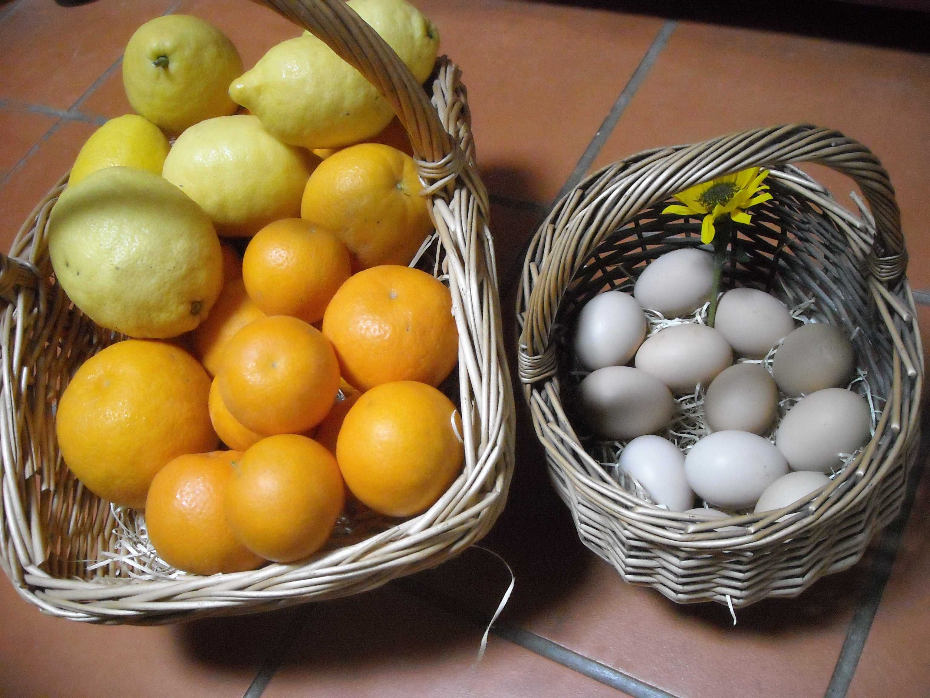 Laranjas limões ovos tomarilhos e chuchus  biológicos