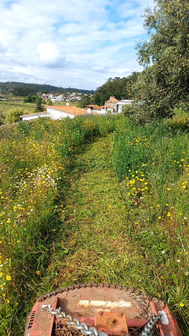 Limpeza de terrenos e floresta
