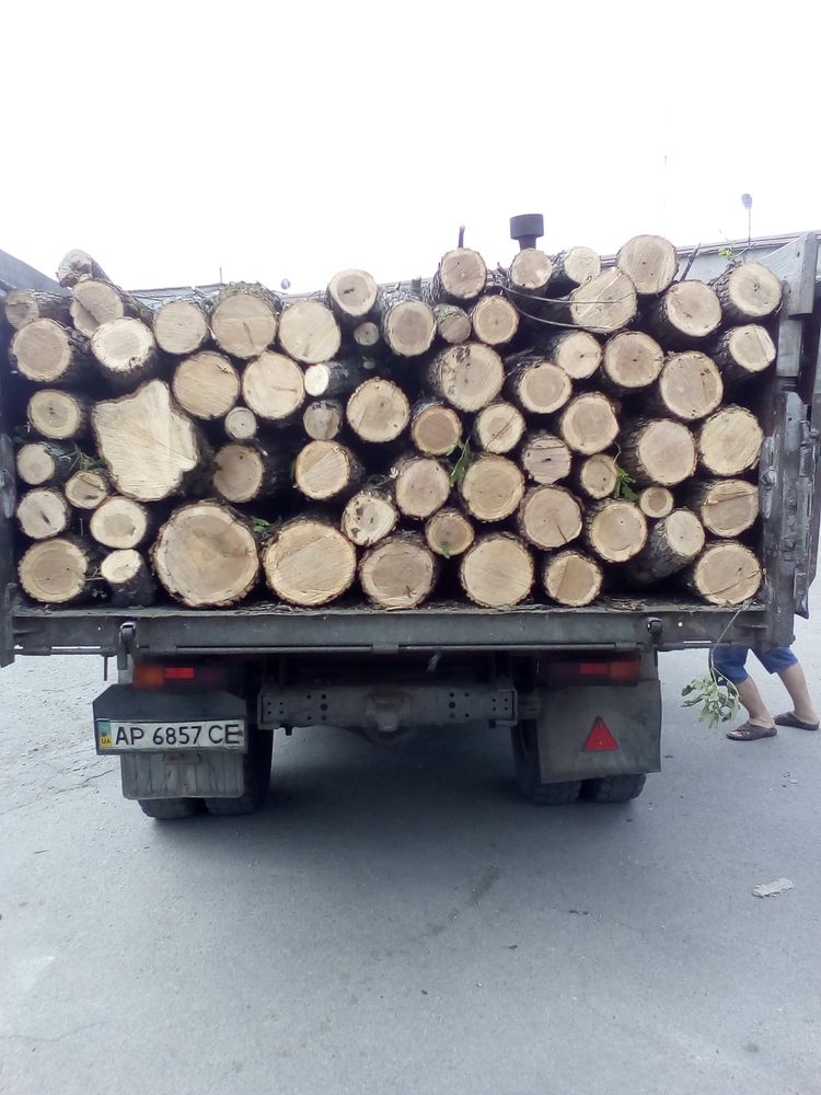 Продам дрова Акации