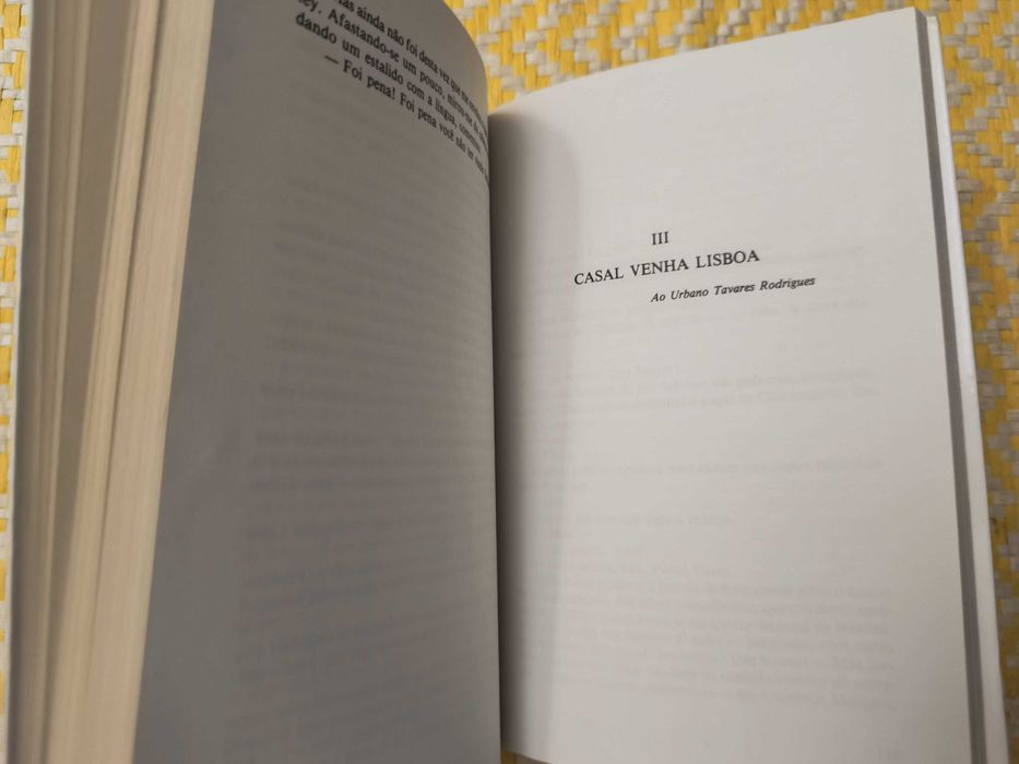 Gaivotas em terra – 
David Mourão Ferreira