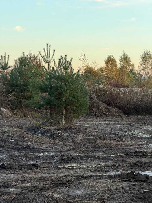 Продаж земельної ділянки в с. Годовиця, масив Гірка