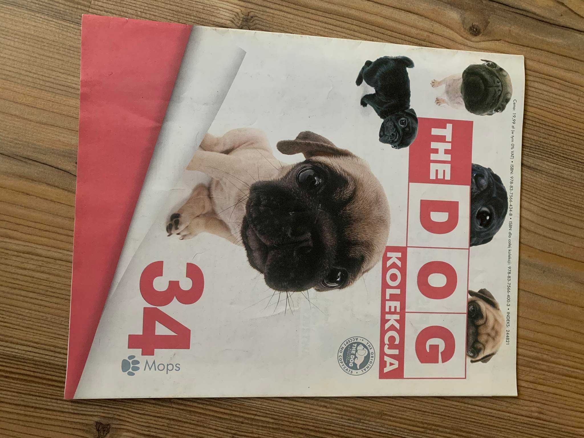 The Dog kolekcja numer 34