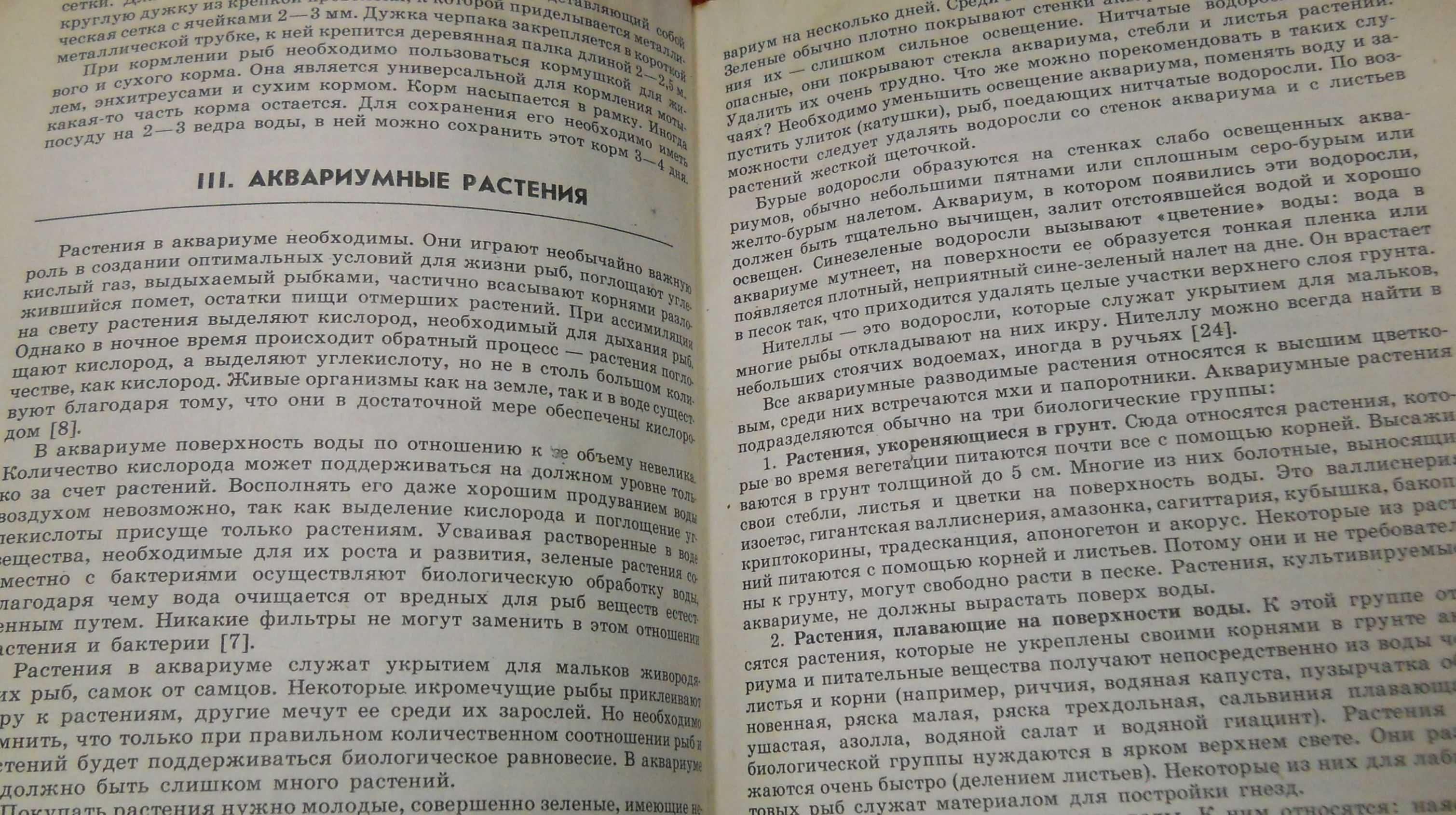 В.Т.Козер Аквариум 1982 г.